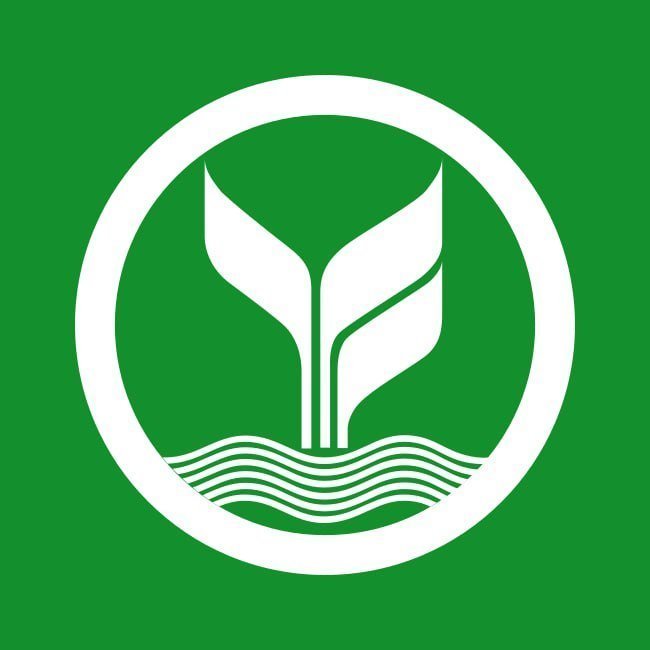 flash88plus